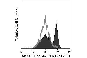 Flow Cytometry (FACS) image for anti-Polo-Like Kinase 1 (PLK1) (pThr210) antibody (Alexa Fluor 647) (ABIN1177152) (PLK1 antibody  (pThr210) (Alexa Fluor 647))