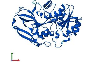 Protein Structure (PS) image for Prostaglandin Reductase 1 (PTGR1) (AA 1-329) protein (His tag) (ABIN7560118)