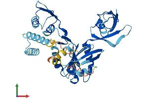 Protein Structure (PS) image for Developmentally Regulated GTP Binding Protein 2 (DRG2) (AA 1-364) protein (His tag) (ABIN7547176)