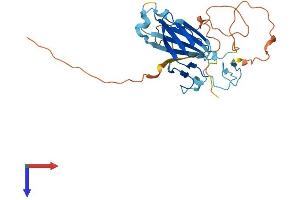 AlphaFold protein structure predicition of Human Recombinant GUSBP11 Protein, UniprotID Q6P575 (GUSBP11 Protein (AA 1-273) (His tag))