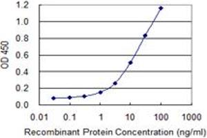 Detection limit for recombinant GST tagged C9orf103 is 0. (IdnK antibody  (AA 41-141))