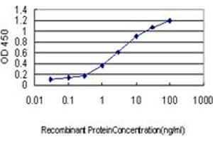 Detection limit for recombinant GST tagged ICOSLG is approximately 0. (ICOSLG antibody  (AA 20-302))