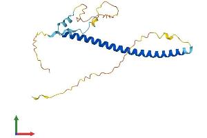 Protein Structure (PS) image for Geminin, DNA Replication Inhibitor (GMNN) (AA 1-209) protein (His tag) (ABIN7547939)