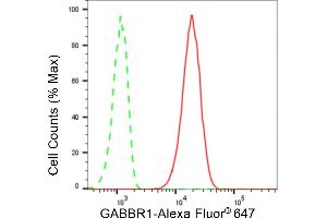 Flow cytometric analysis of GABBR1 expression in C2C12 cells using GABBR1 antibody (ABIN7798690), 1:2,000).