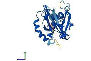 Protein Structure (PS) image for Nudix Hydrolase 8 (NUDT8) (AA 1-210) protein (His tag) (ABIN7560601)