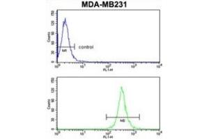 Flow Cytometry (FACS) image for anti-rho GTPase Activating Protein 18 (ARHGAP18) antibody (ABIN3003783) (ARHGAP18 antibody)