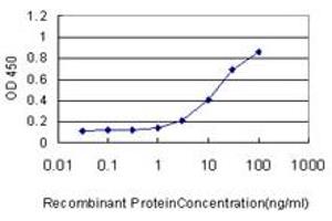 Detection limit for recombinant GST tagged RAD51L3 is approximately 1ng/ml as a capture antibody. (RAD51D antibody  (AA 1-328))