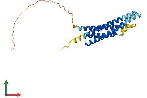 AlphaFold protein structure predicition of Human Recombinant MS4A3 Protein, UniprotID Q96HJ5 (MS4A3 Protein (AA 1-214) (His tag))