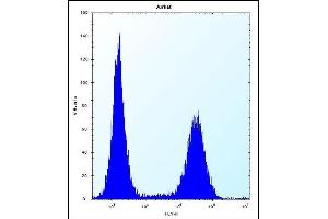RNF11 Antibody (Center) (ABIN656832 and ABIN2846041) flow cytometric analysis of Jurkat cells (right histogram) compared to a negative control cell (left histogram). (RNF11 antibody  (AA 64-90))