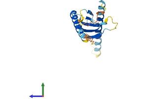 AlphaFold protein structure predicition of Mouse Recombinant Ap5s1 Protein, UniprotID Q9D742 (Adaptor-Related Protein Complex 5, sigma 1 Subunit (AP5S1) (AA 1-170) protein (His tag))