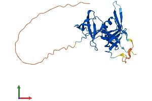AlphaFold protein structure predicition of Mouse Recombinant Spin2c Protein, UniprotID Q6NVE3 (Spin2c Protein (AA 1-257) (His tag))