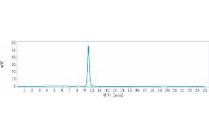 anti-CCN2 (Pamrevlumab Biosimilar) antibody
