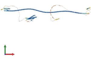 AlphaFold protein structure predicition of Human Recombinant CCDC157 Protein, UniprotID Q569K6 (CCDC157 Protein (AA 1-752) (His tag))