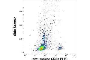 Flow cytometry surface staining pattern of murine splenocyte suspension stained using anti-mouse CD8a (53-6. (CD8 alpha antibody  (FITC))