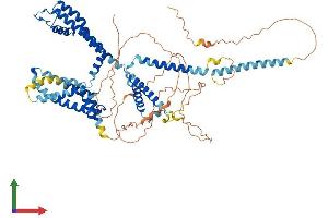 AlphaFold protein structure predicition of Mouse Recombinant Kcnq1 Protein, UniprotID P97414