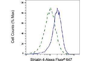 Validation of Striatin 4 knockdown using flow cytometry. (Recombinant STRN4 antibody)