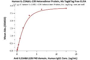 Immobilized Human IL-23A&IL-12B Heterodimer Protein, His Tag&Tag Free (ABIN4949114,ABIN4949115) at 2 μg/mL (100 μL/well) can bind Anti IL23A&IL12B P40 domain, Human IgG1 with a linear range of 0.