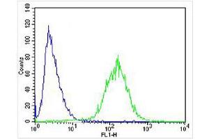 Overlay histogram showing SH-SY5Y cells stained with (ABIN6243304 and ABIN6577970) (green line). (STMN2 antibody  (AA 82-116))