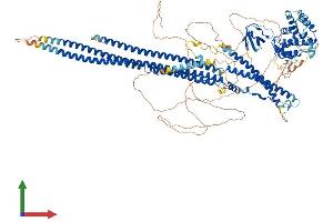 AlphaFold protein structure predicition of Human Recombinant SRGAP3 Protein, UniprotID O43295