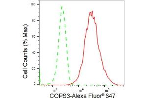 anti-COP9 Signalosome Complex Subunit 3 (COPS3) antibody