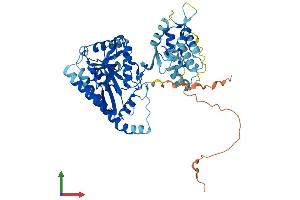AlphaFold protein structure predicition of Human Recombinant LPCAT4 Protein, UniprotID Q643R3