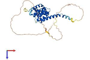 AlphaFold protein structure predicition of Mouse Recombinant Katnbl1 Protein, UniprotID Q9CWJ3 (KATNBL1 Protein (AA 1-299) (His tag))