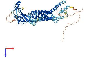 MCOLN1 Protein (AA 1-580) (His tag)