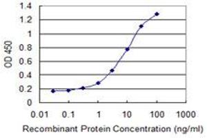 Detection limit for recombinant GST tagged GLYAT is 0. (GLYAT antibody  (AA 64-163))