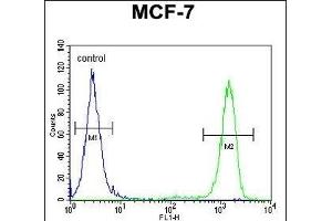 EFHB Antibody (N-term) (ABIN654858 and ABIN2844520) flow cytometric analysis of MCF-7 cells (right histogram) compared to a negative control cell (left histogram). (EFHB antibody  (N-Term))