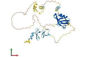 AlphaFold protein structure predicition of Human Recombinant PDLIM3 Protein, UniprotID Q53GG5 (PDLIM3 Protein (AA 1-364) (His tag))