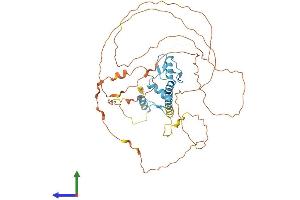 AlphaFold protein structure predicition of Mouse Recombinant Egr4 Protein, UniprotID Q9WUF2 (EGR4 Protein (AA 1-478) (His tag))