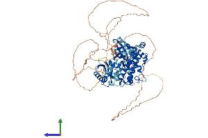 AlphaFold protein structure predicition of Human Recombinant MARK3 Protein, UniprotID P27448