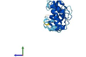 Protein Structure (PS) image for Calcium And Integrin Binding Family Member 2 (CIB2) (AA 1-187) protein (His tag) (ABIN7553290)