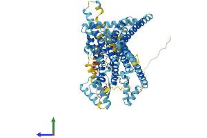 AlphaFold protein structure predicition of Mouse Recombinant Tmc7 Protein, UniprotID Q8C428