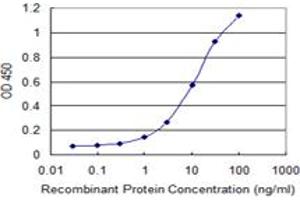 Detection limit for recombinant GST tagged PCDHA7 is 0. (PCDHA7 antibody  (AA 143-241))