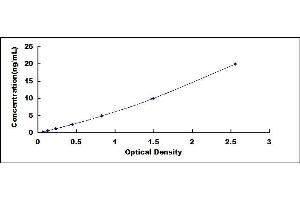 Typical standard curve (Transglutaminase 2 ELISA Kit)