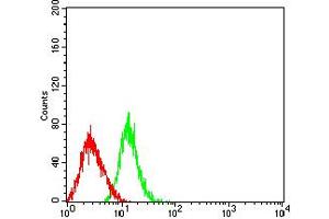 Flow cytometric analysis of HL-60 cells using CD50 mouse mAb (green) and negative control (red). (ICAM-3/CD50 antibody  (AA 30-203))