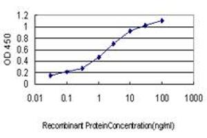Detection limit for recombinant GST tagged GATA2 is approximately 0. (GATA2 antibody  (AA 1-102))