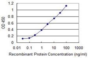 Detection limit for recombinant GST tagged SNAPC4 is 0. (SNAPC4 antibody  (AA 53-162))