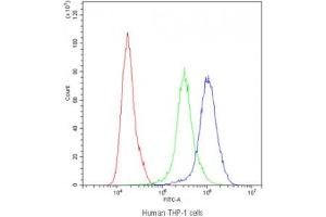 Flow cytometry testing of human THP-1 cells with PPT1 antibody at 1ug/10^6 cells (blocked with goat sera) (PPT1 antibody)