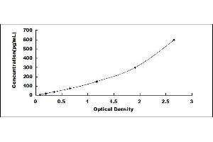 Typical standard curve (ADAM10 ELISA Kit)