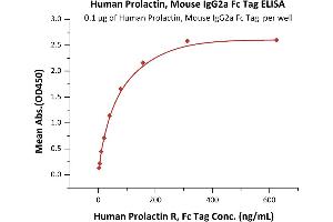 Immobilized Human Prolactin, Mouse IgG2a Fc Tag, low endotoxin (ABIN6253198,ABIN6253591) at 1 μg/mL (100 μL/well) can bind Human Prolactin R, Fc Tag (ABIN5674642,ABIN6253668) with a linear range of 2-39 ng/mL (QC tested). (Prolactin Protein (PRL) (AA 29-227) (Fc Tag))