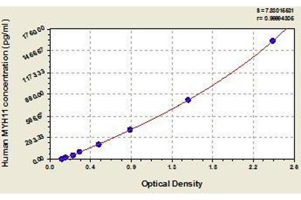 MYH11 ELISA Kit