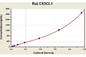 Diagramm of the ELISA kit to detect Rat CX3CL1with the optical density on the x-axis and the concentration on the y-axis. (CX3CL1 ELISA Kit)