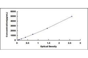 TNFSF8 ELISA Kit