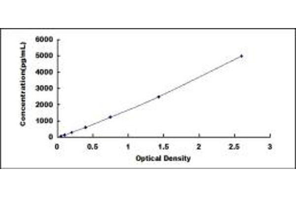 TNFSF8 ELISA Kit