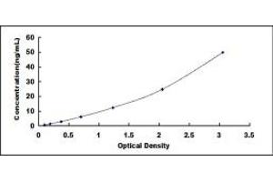 Typical standard curve (Nidogen ELISA Kit)