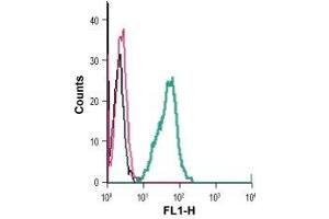 Cell surface detection of GPR84 in live intact mouse BV-2 microglia cells: (black line) Cells. (GPR84 antibody  (2nd Extracellular Loop) (FITC))