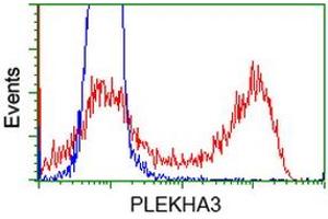 HEK293T cells transfected with either RC208433 overexpress plasmid (Red) or empty vector control plasmid (Blue) were immunostained by anti-PLEKHA3 antibody (ABIN2454555), and then analyzed by flow cytometry. (PLEKHA3 antibody)