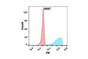 Flow cytometry analysis with Anti-B7-H2 (DM97) on Expi293 cells transfected with human B7-H2 (Blue histogram) or Expi293 transfected with irrelevant protein (Red histogram). (ICOSLG antibody  (AA 19-256))